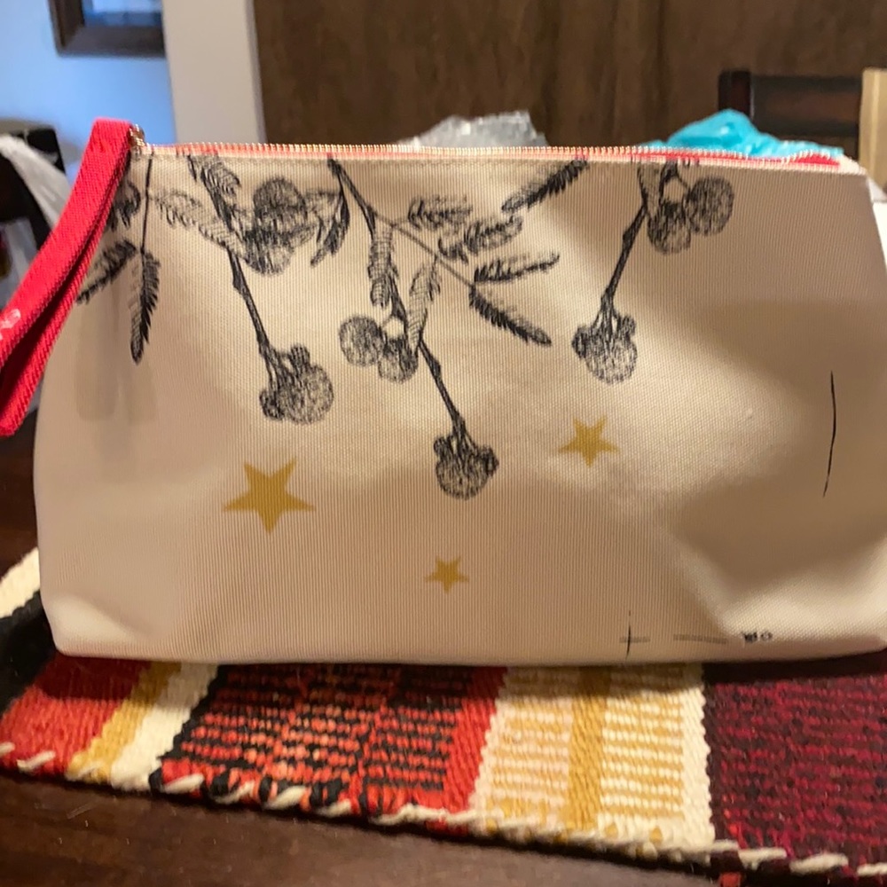 Clarins makeup bag or summer purse